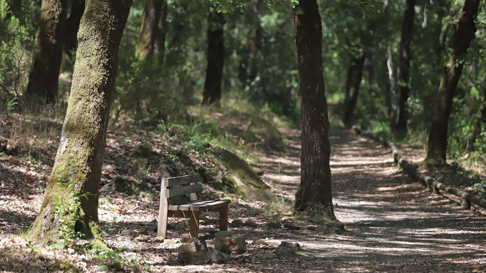 Las mejores fotos de la Montera del Torero y Valdeinfierno