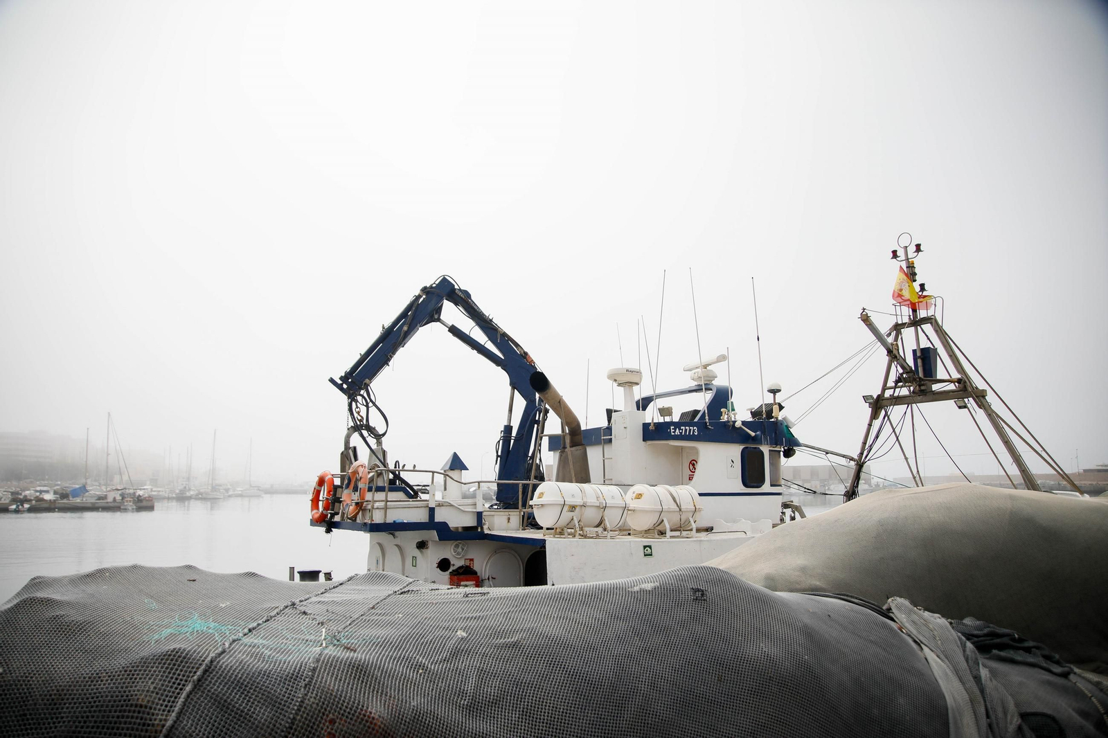Vea cómo es la captura de pulpo en Adra, un manjar gastronómico