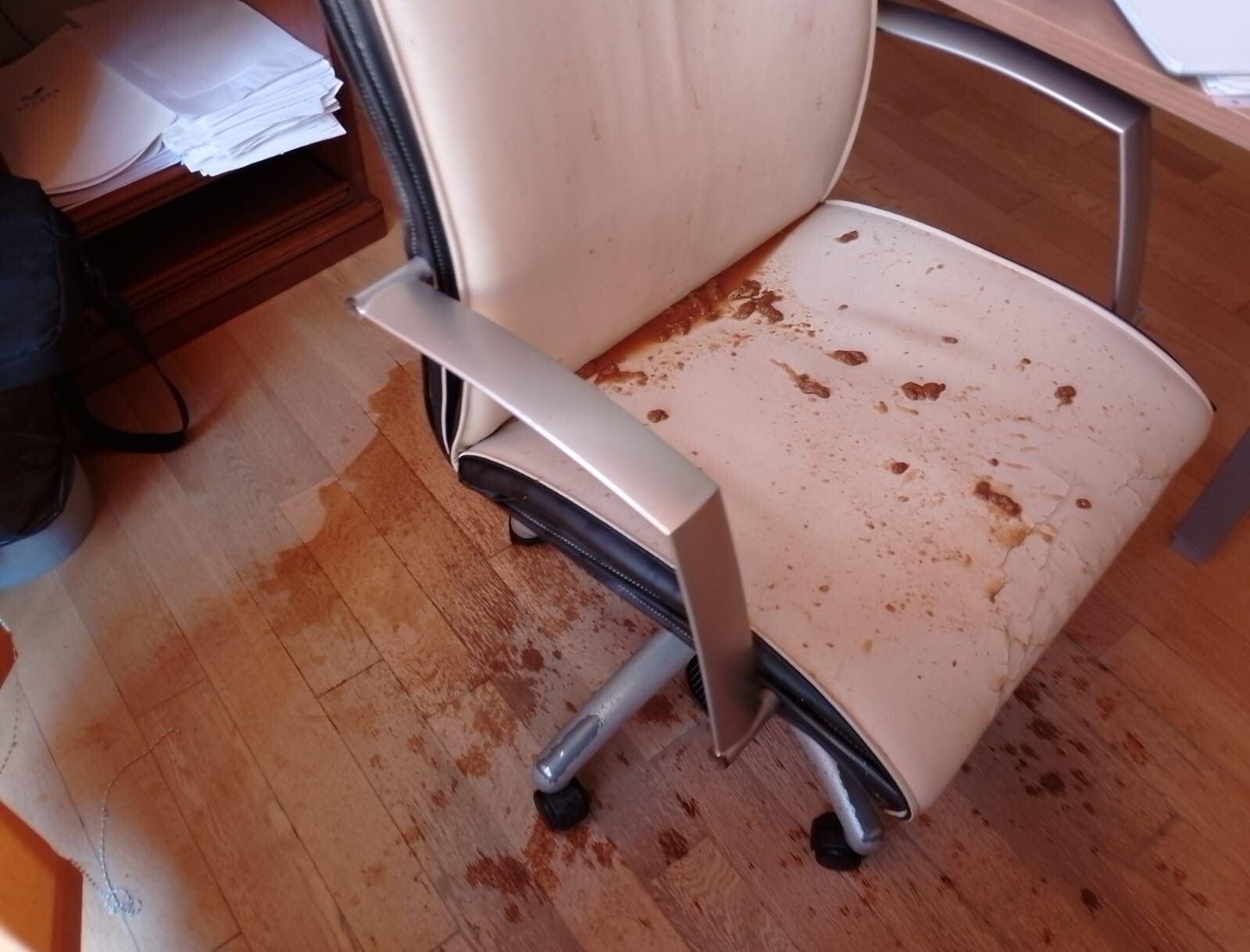 Silla atacada con heces.