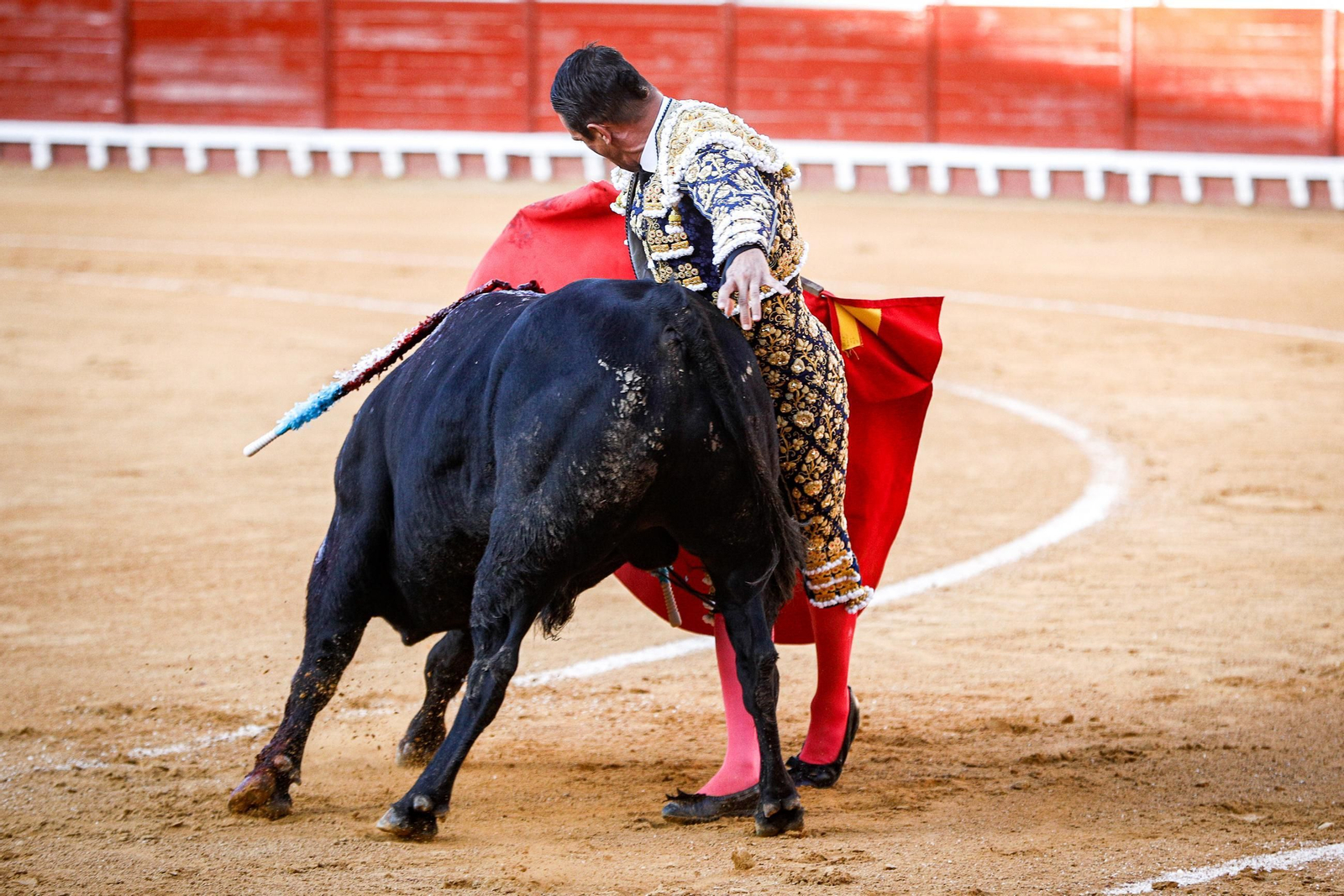Imágenes de la corrida de toros en El Puerto: Manzanares, Roca Rey y Pablo Aguado