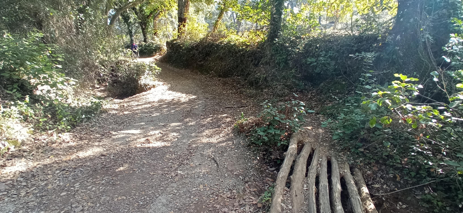 Las imágenes de la ruta de la cascada de Jollarancos y bosque de las letras