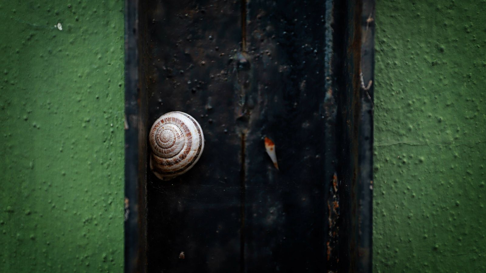 Las mejores fotos de Paloma Baja