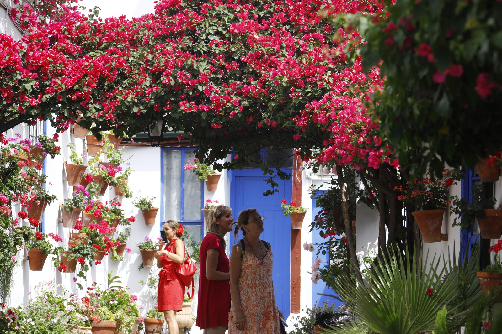 El primer día de Patios en Córdoba, en imágenes