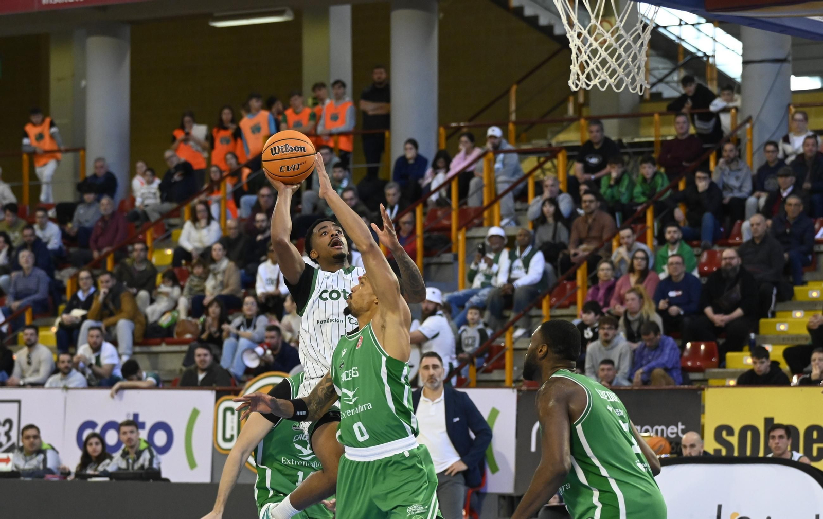 Las mejores fotos del ambiente en el Coto Córdoba - Cáceres Patrimonio de la Humanidad