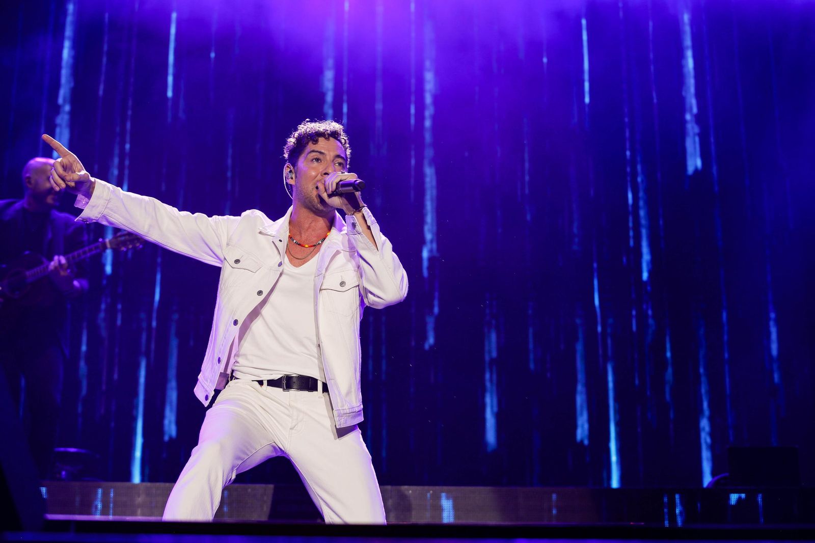 El concierto de David Bisbal, en imágenes