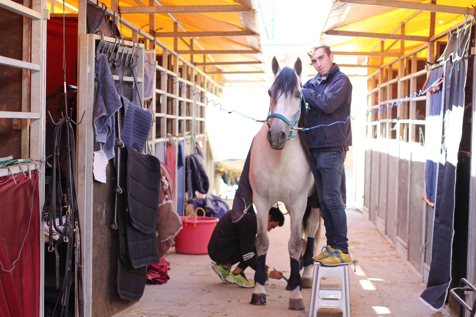 Sicab calienta motores.