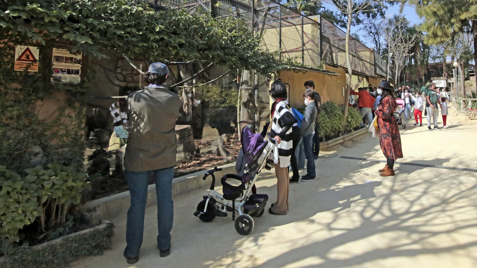 69 aniversario del Zoo de Jerez