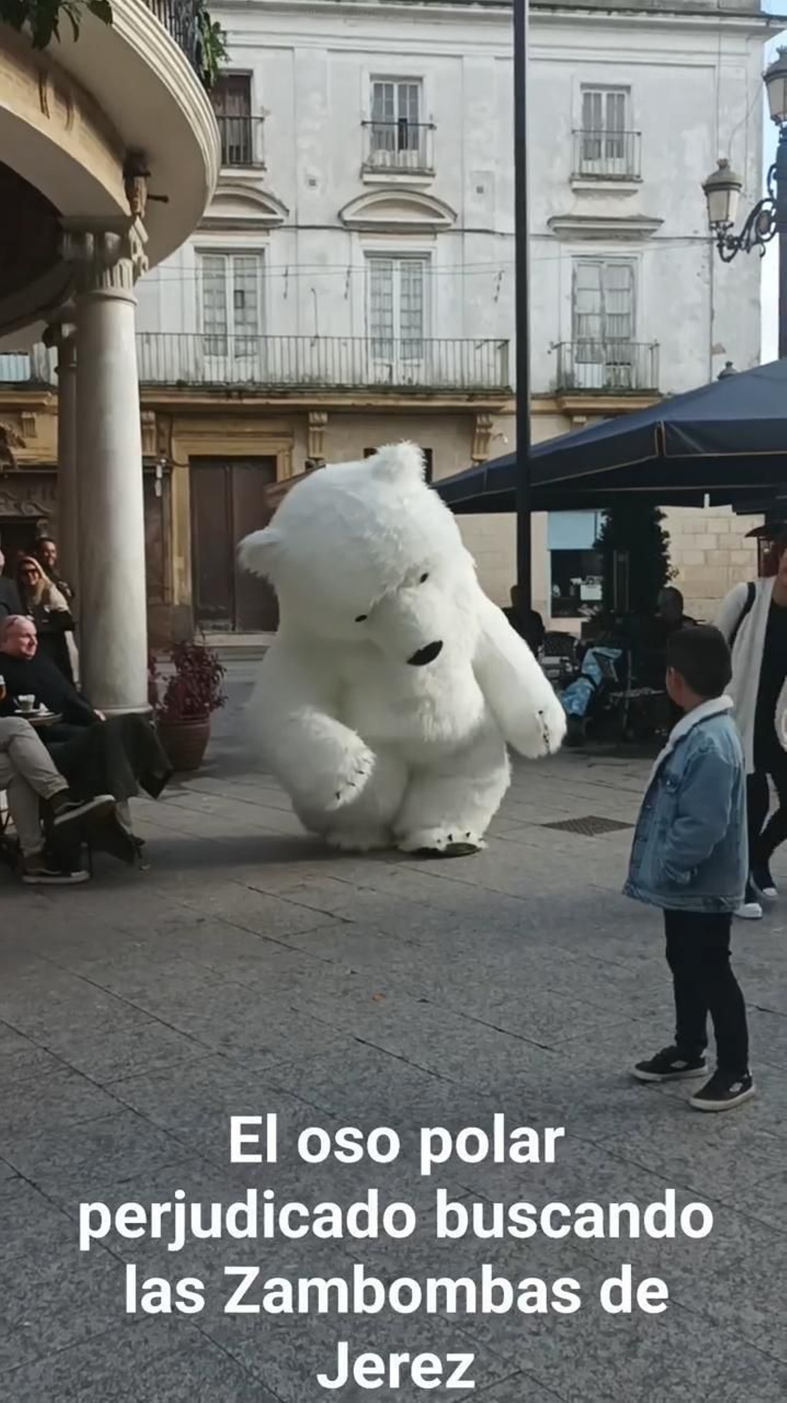 El oso polar de Cádiz, de zambombas en Jerez.