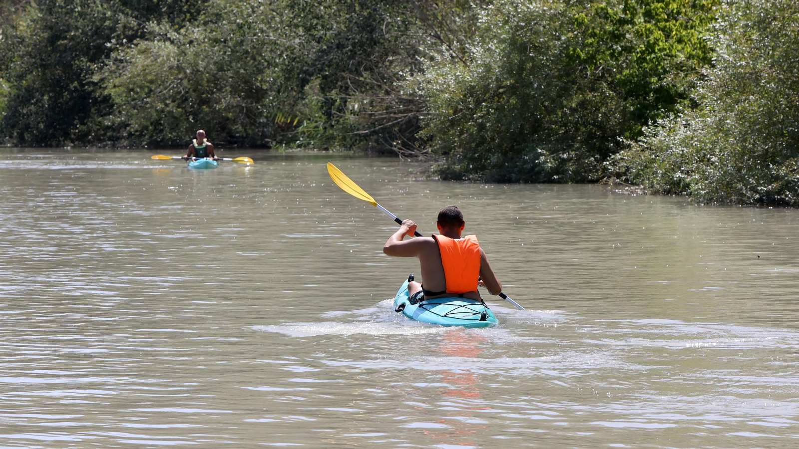Paseo por el Guadalete en Kayak