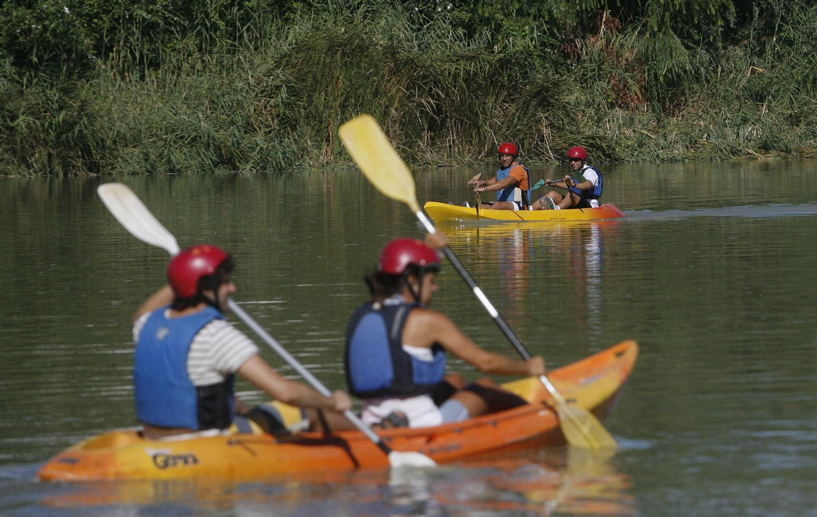 Varias piragüas en el Guadalquivir.