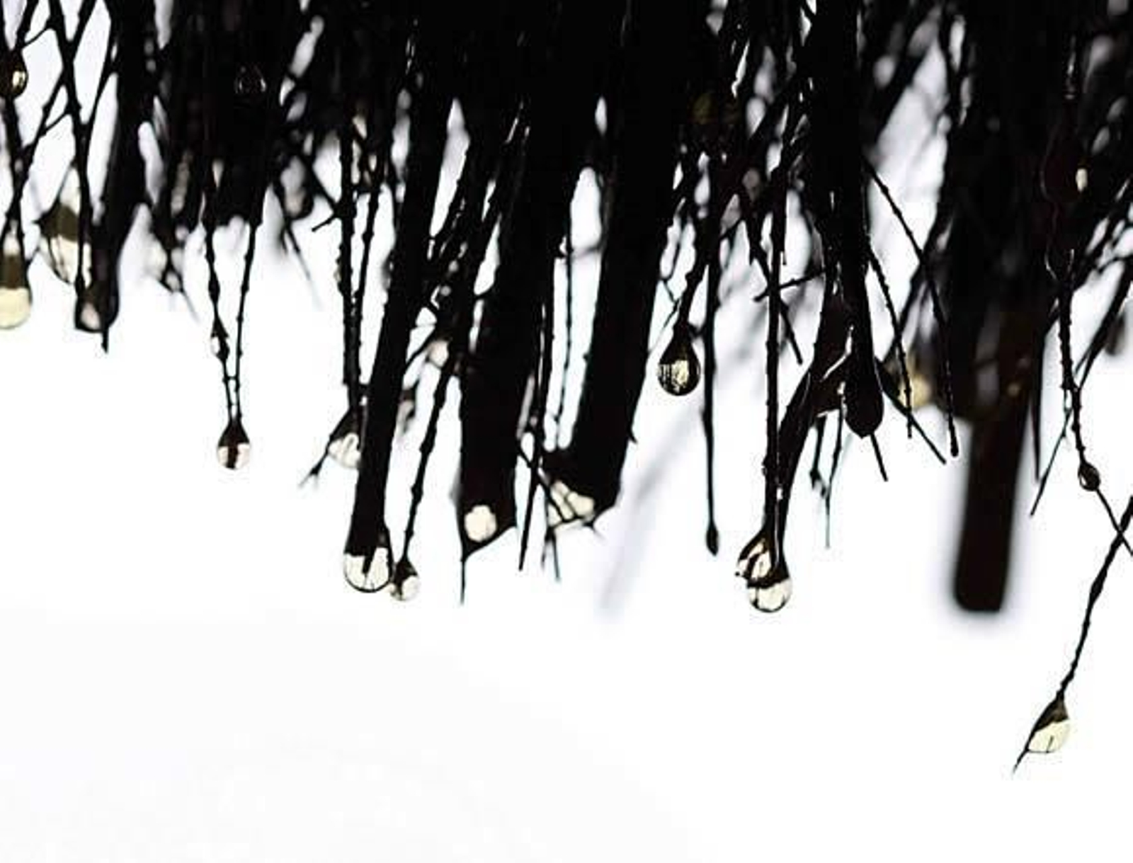 Memorias del subsuelo - Día 2