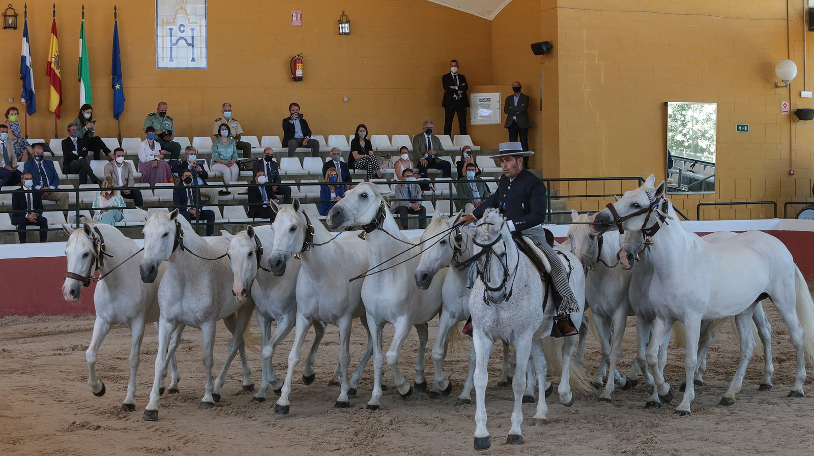 El ministro de agricultura Luis Planas visita Jerez y la yeguada del Hierro del Bocado