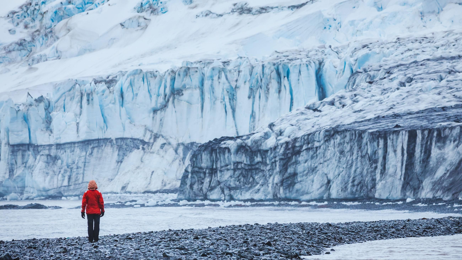 Nuevas experiencias turísticas en la Antártida: dos opciones únicas para descubrir el continente blanco