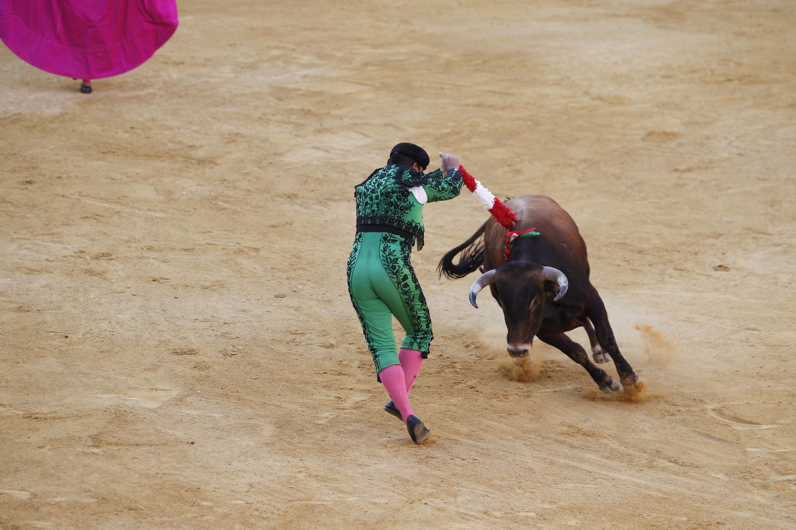 Fotogalería novillada Escuela Taurina de Almería. Feria de Almería 2019