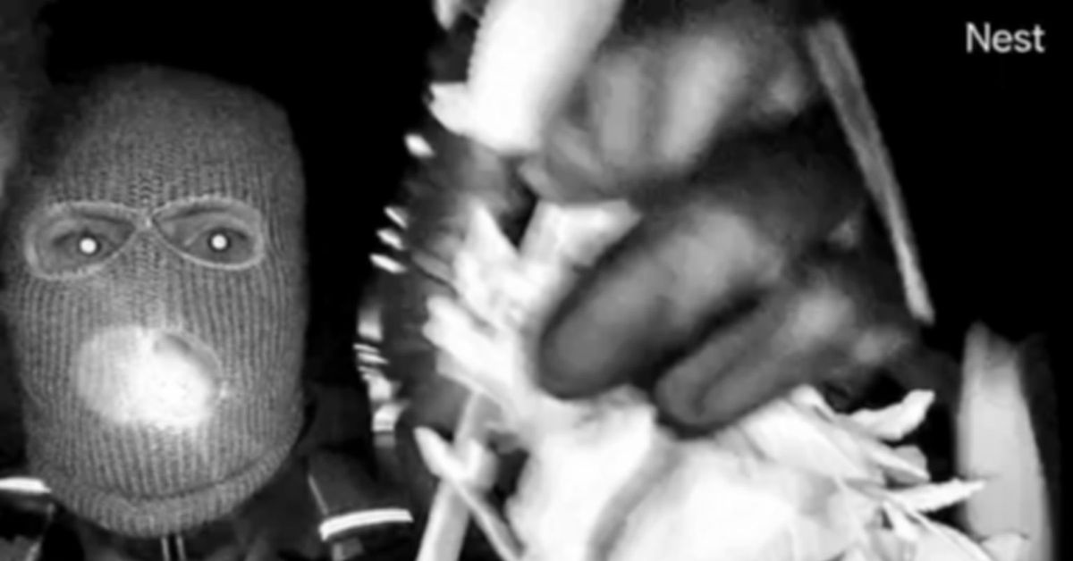 El FBI difunde imágenes del extraño secuestro de la madre de Savannah Guthrie, famosa periodista de la NBC