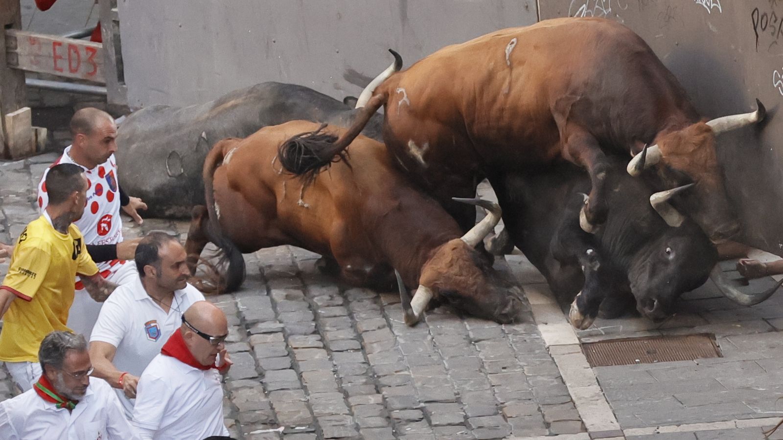 Los toros resbalan durante el encierro.
