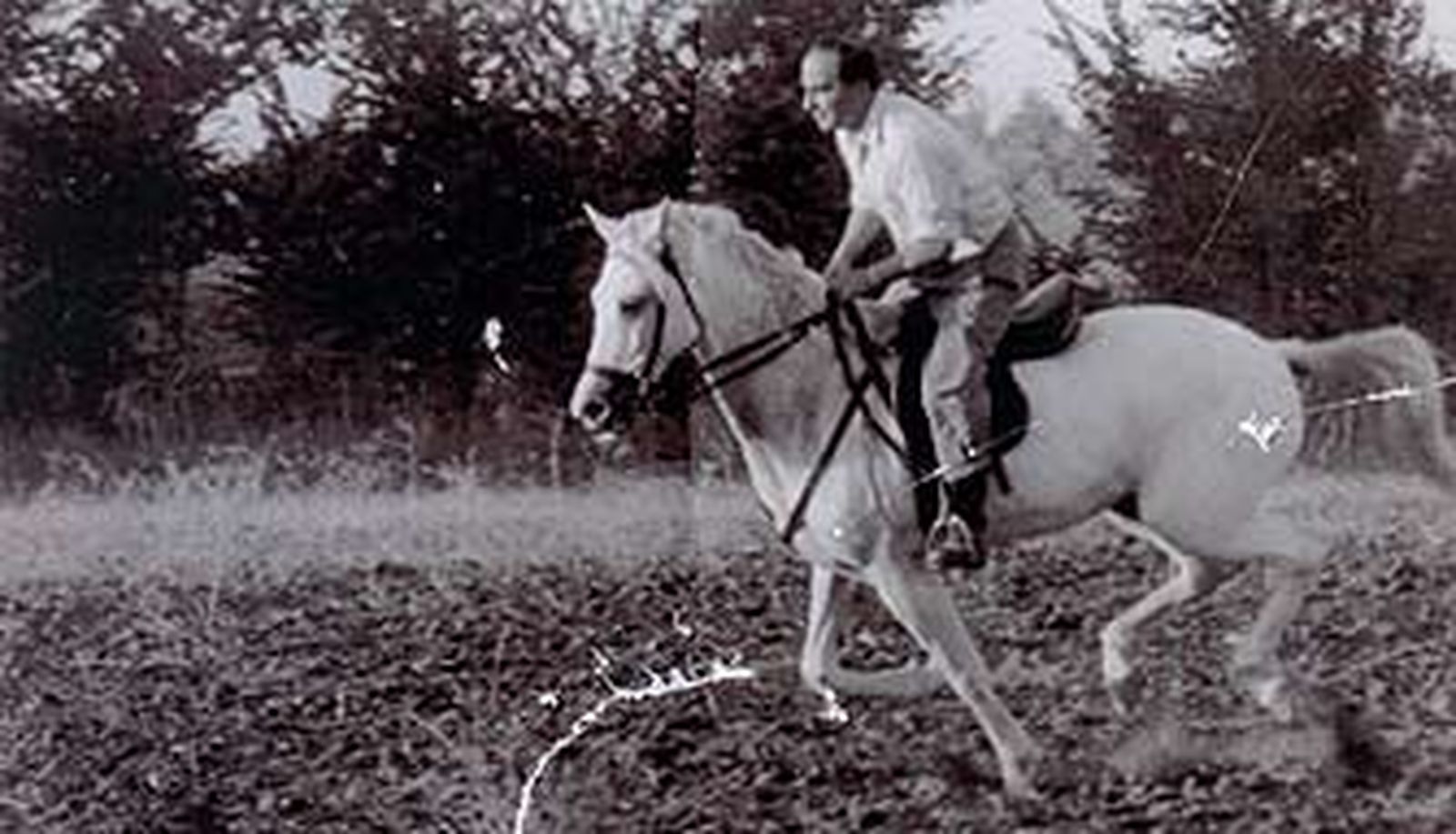 El documental 'El poeta sin tiempo' recrea el universo creativo de Muñoz Rojas