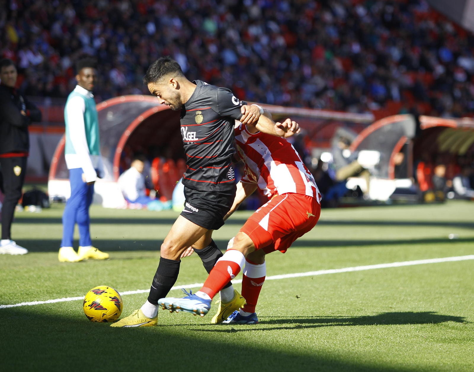 Imágenes del partido U.D. Almería-R.C.D. Mallorca