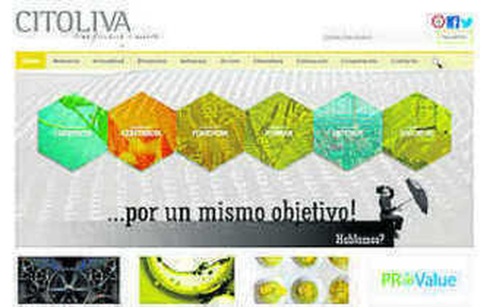 El gerente de la compañía Padillo, Rafael Padillo.