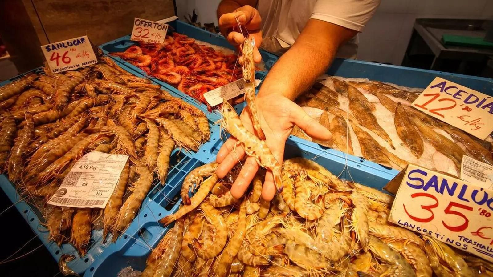 Un comerciante enseña el langostino de Sanlúcar en su puesto del Mercado de Abastos.