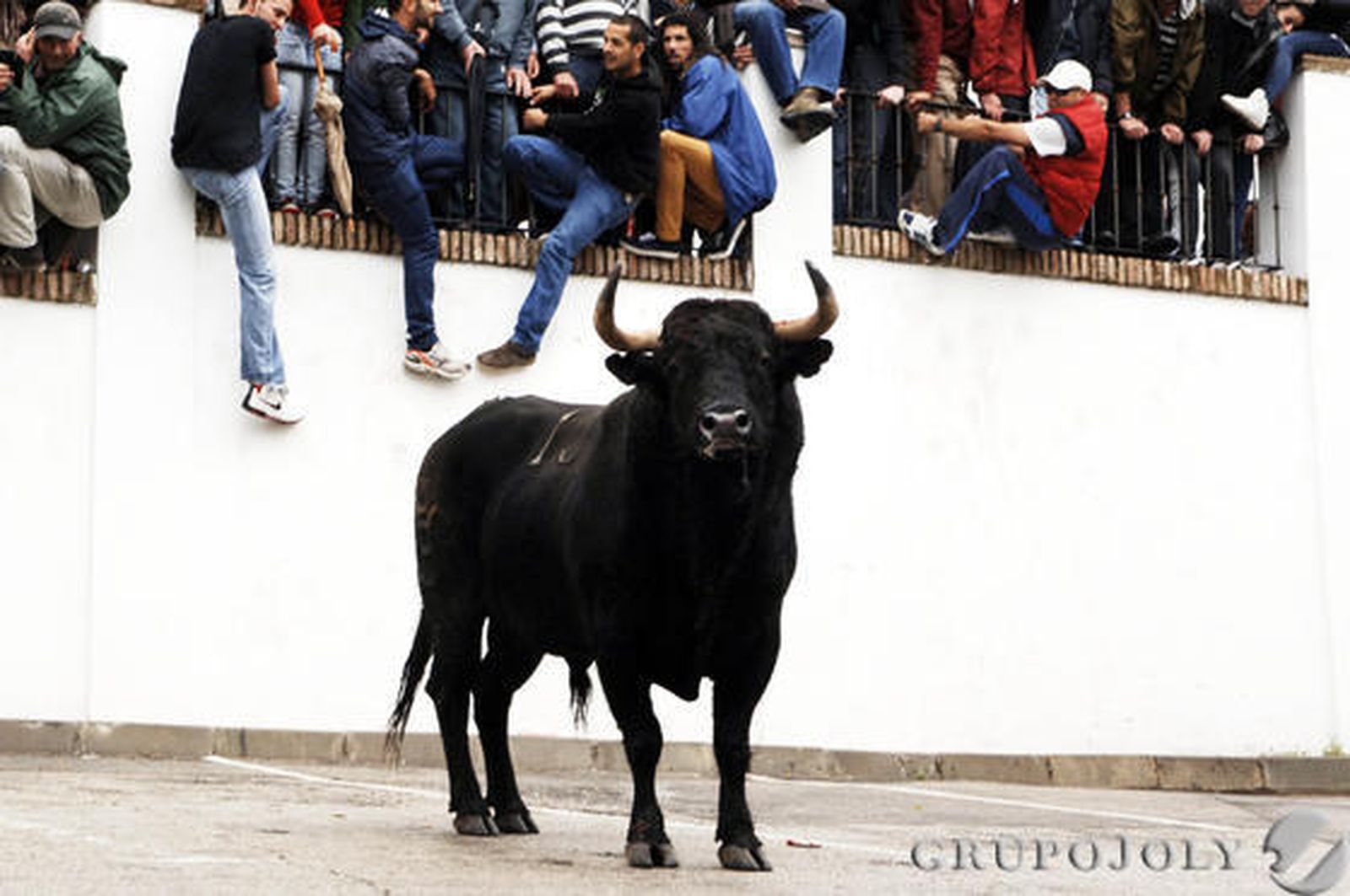 Un hombre resultó herido grave por una fuerte cornada en el abdomen en Arcos. Vejer, Paterna o Benamahoma también vivieron su fiesta

Foto: Ramon Aguilar