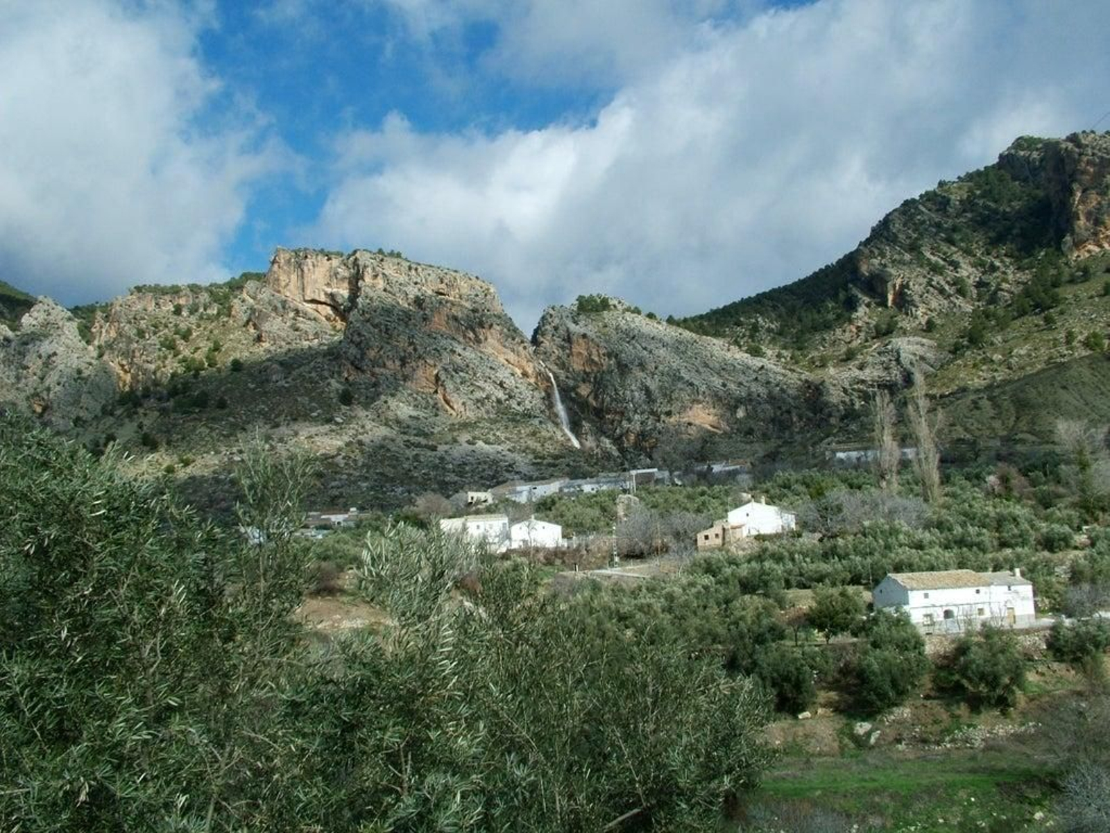 Atochares en Hinojares.