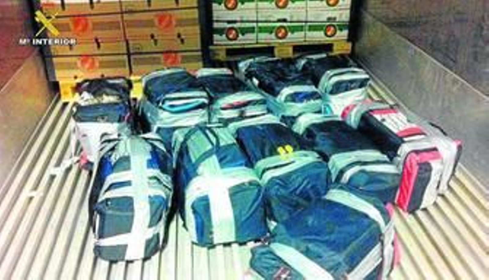 En la imagen aparecen los once bultos con droga en el contenedor en el que compartían espacio con una carga de plátanos.