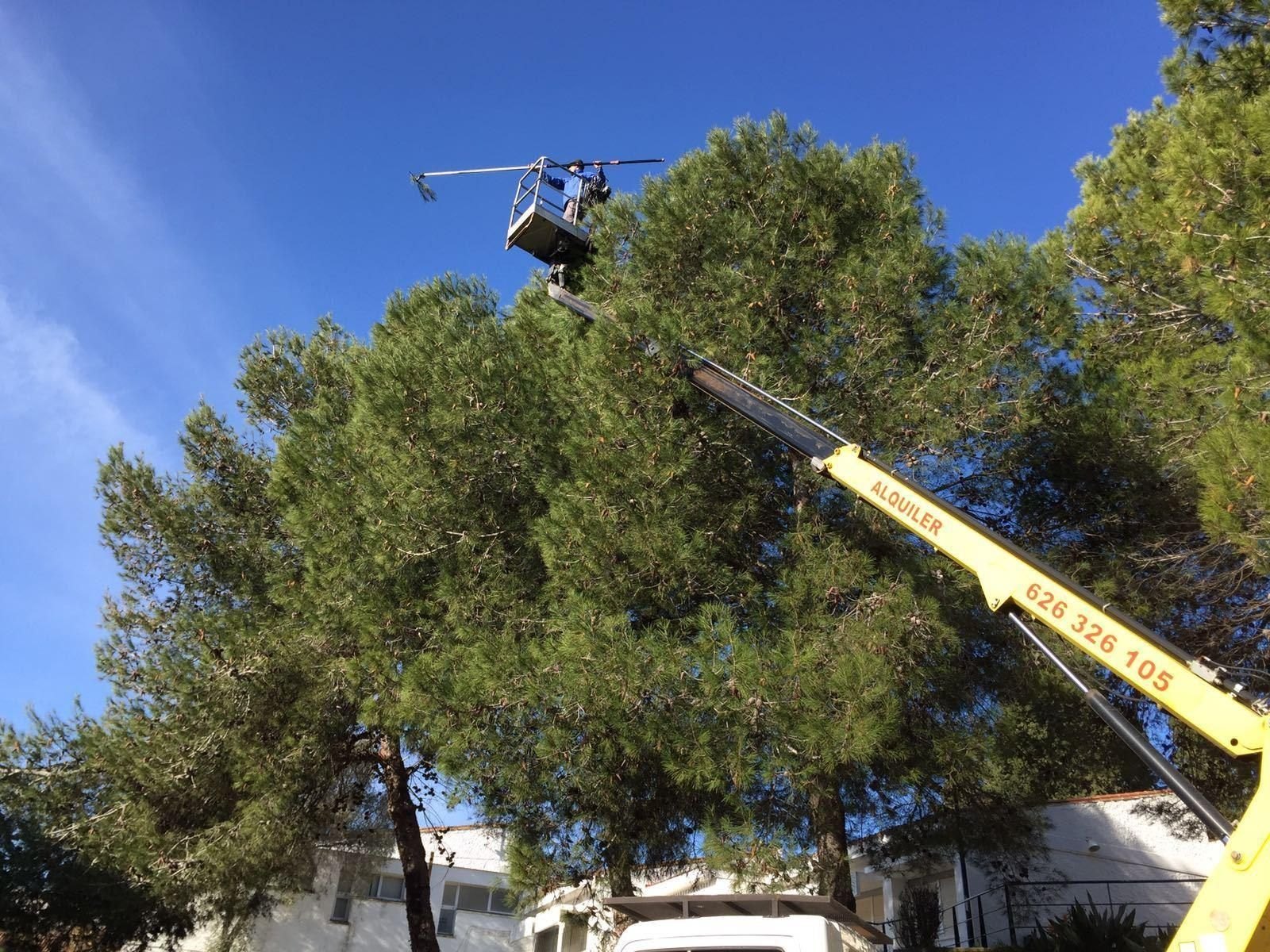 Un operario trabaja desde una grúa en San Roque.