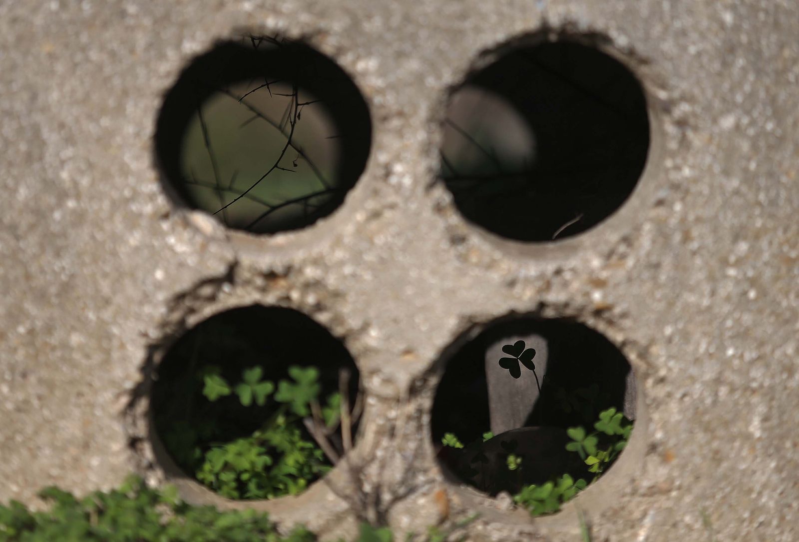 Imágenes del acuífero de la Huerta de Las Pilas en Algeciras