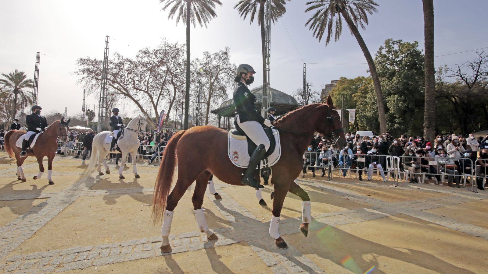Imágenes de la 'Fiesta de San Antón 2022'