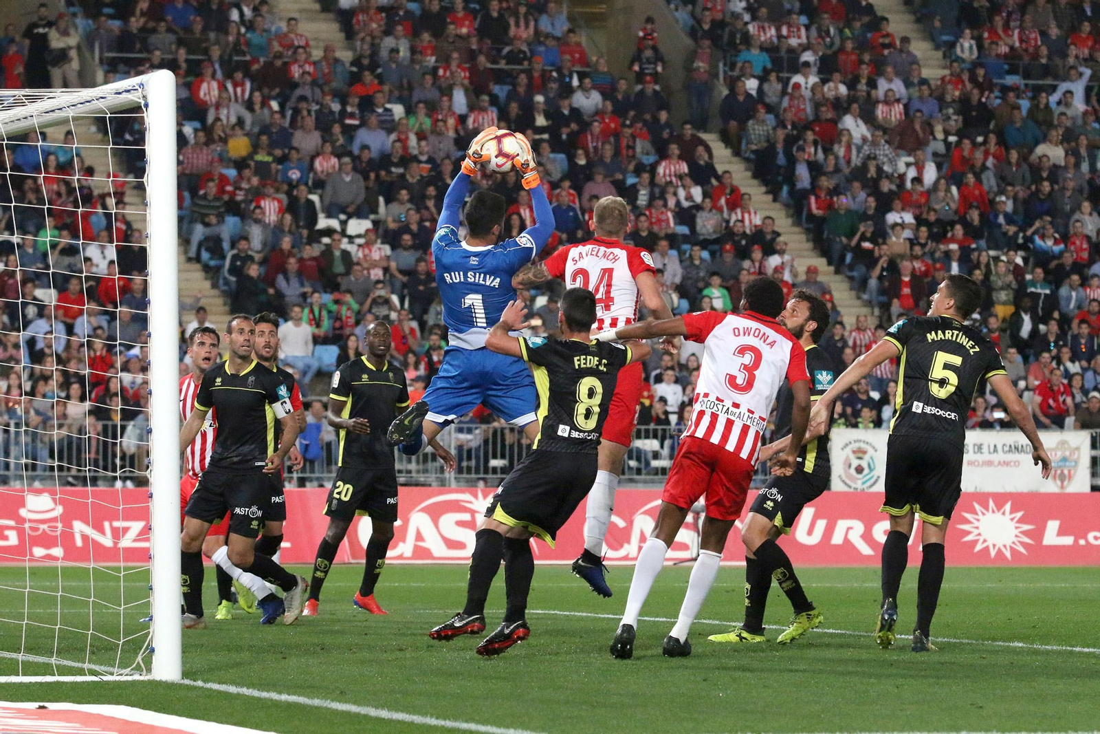 Fotogalería del Almería-Granada