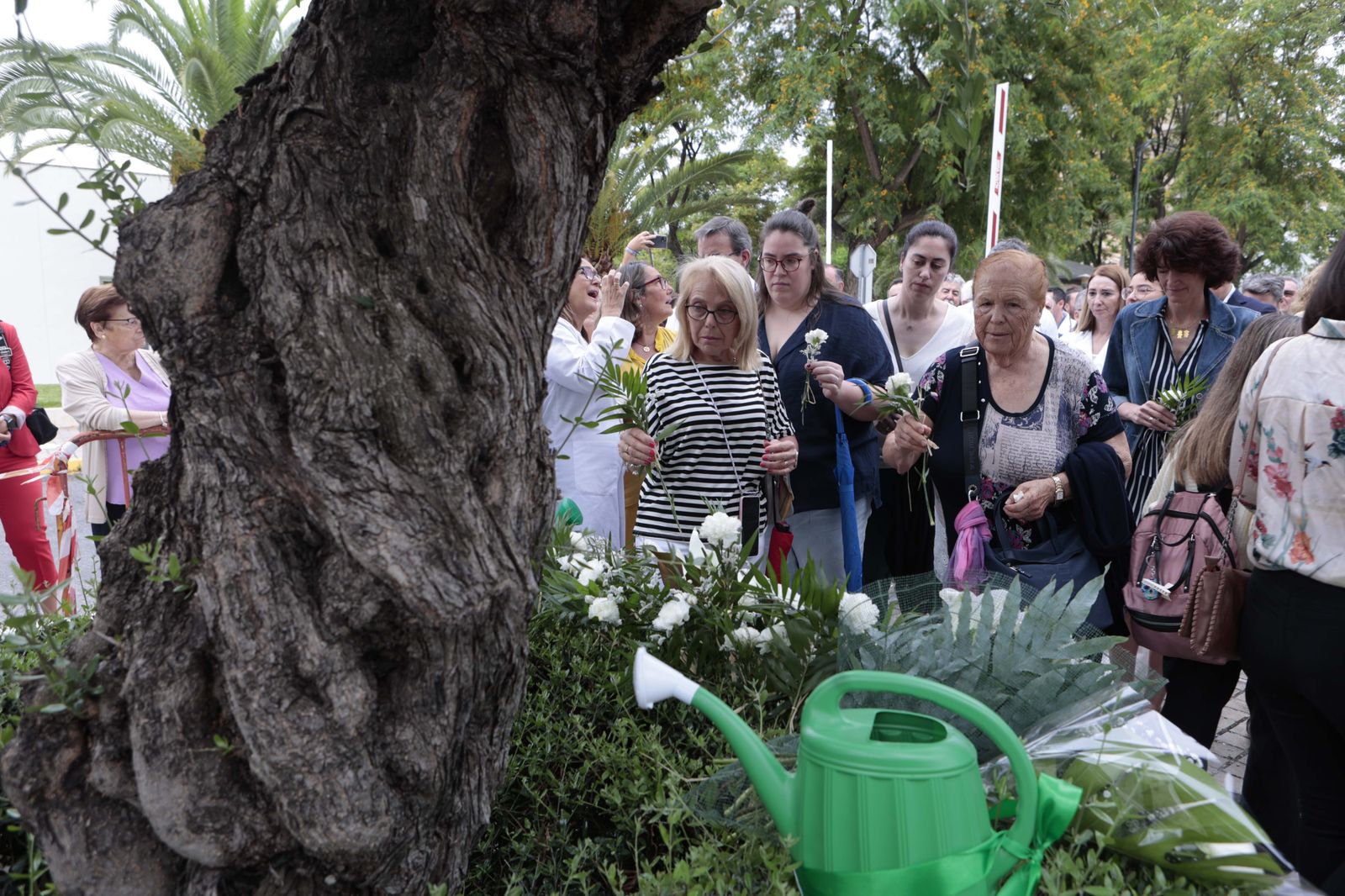 Día Nacional del Donante de órganos