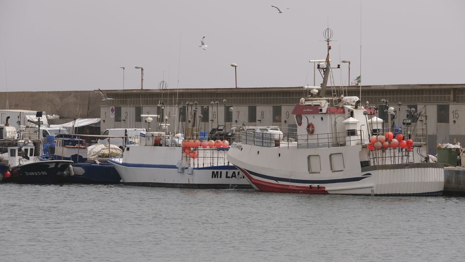 Primera piedra de la nueva lonja del Puerto Pesquero de Roquetas de Mar