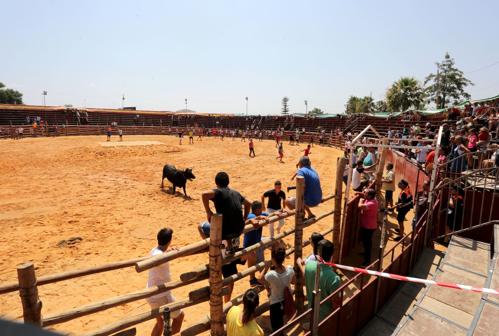 Capeas de Trigueros en imágenes