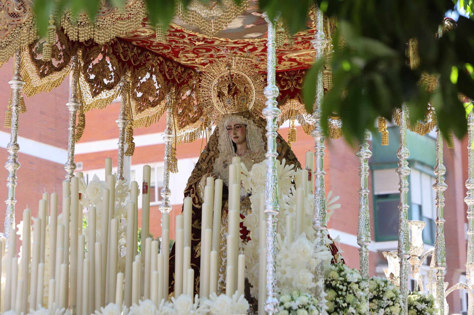 Las mejores imágenes de  Santa Genoveva