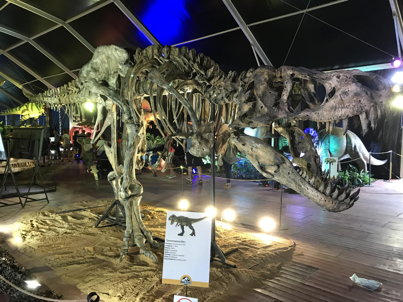 La exposición Dino Expo XXL se prorroga hasta el 31 de marzo.