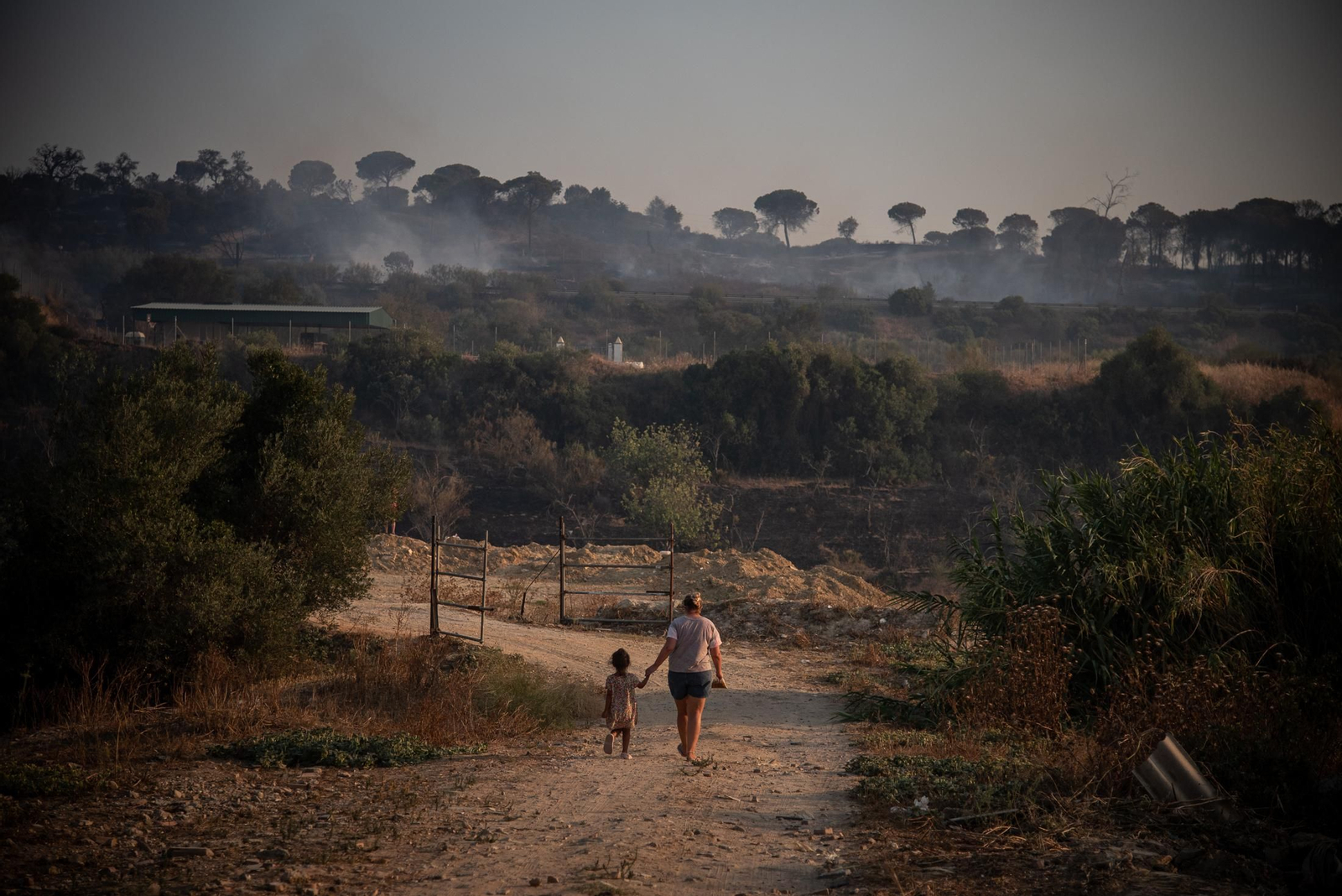 El incendio de Lucena del Puerto en imágenes