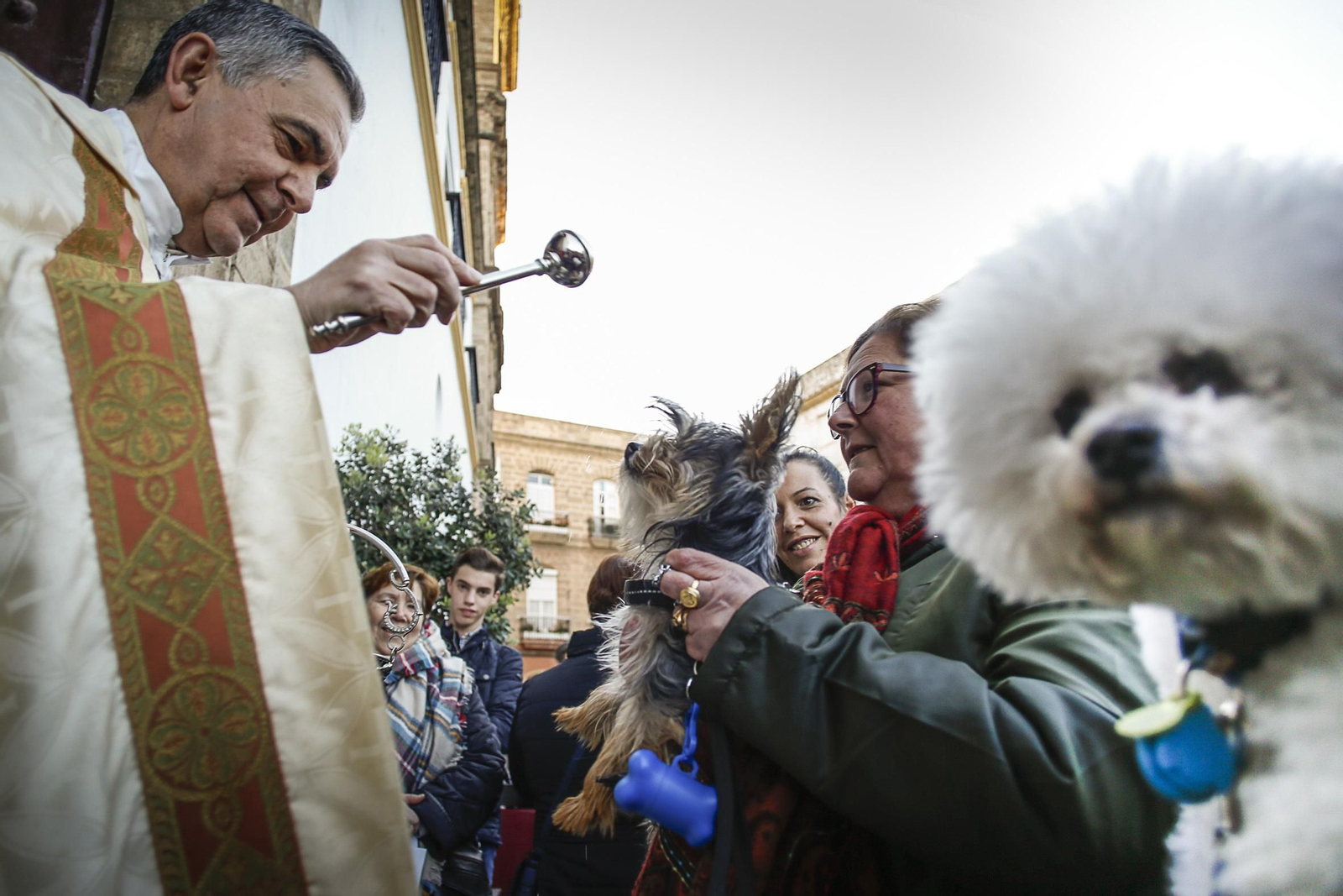 Bendición de animales en Santo Domingo