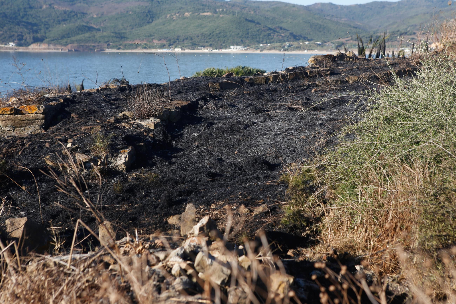 Daños en el Parque Centenario de Algeciras tras el incendio nocturno, en imágenes