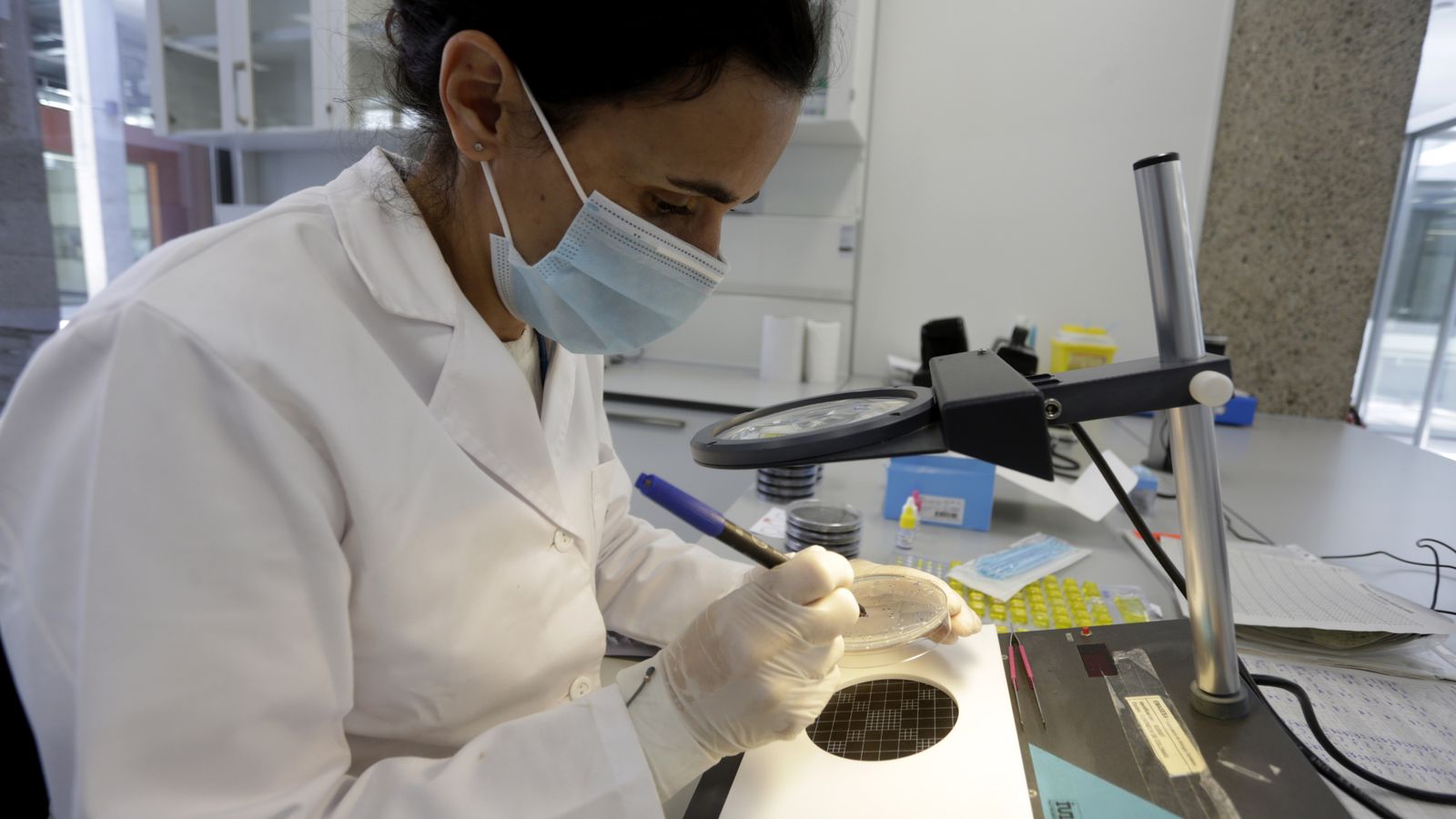Una bióloga analiza una muestra de agua en el laboratorio de Emasesa.