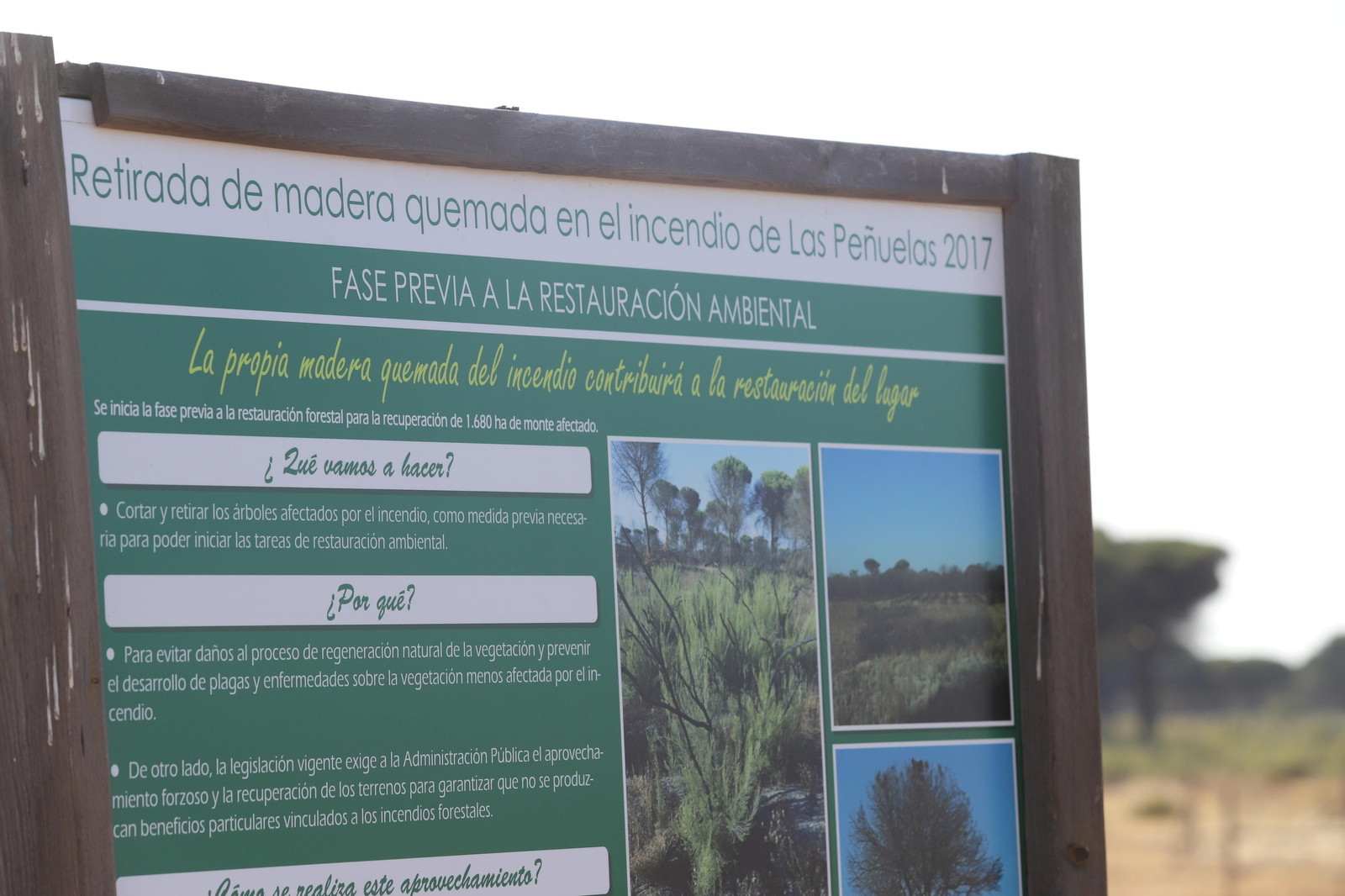 Imágenes del estado en el que se encuentran los caminos del Rocío para la Romería 2023