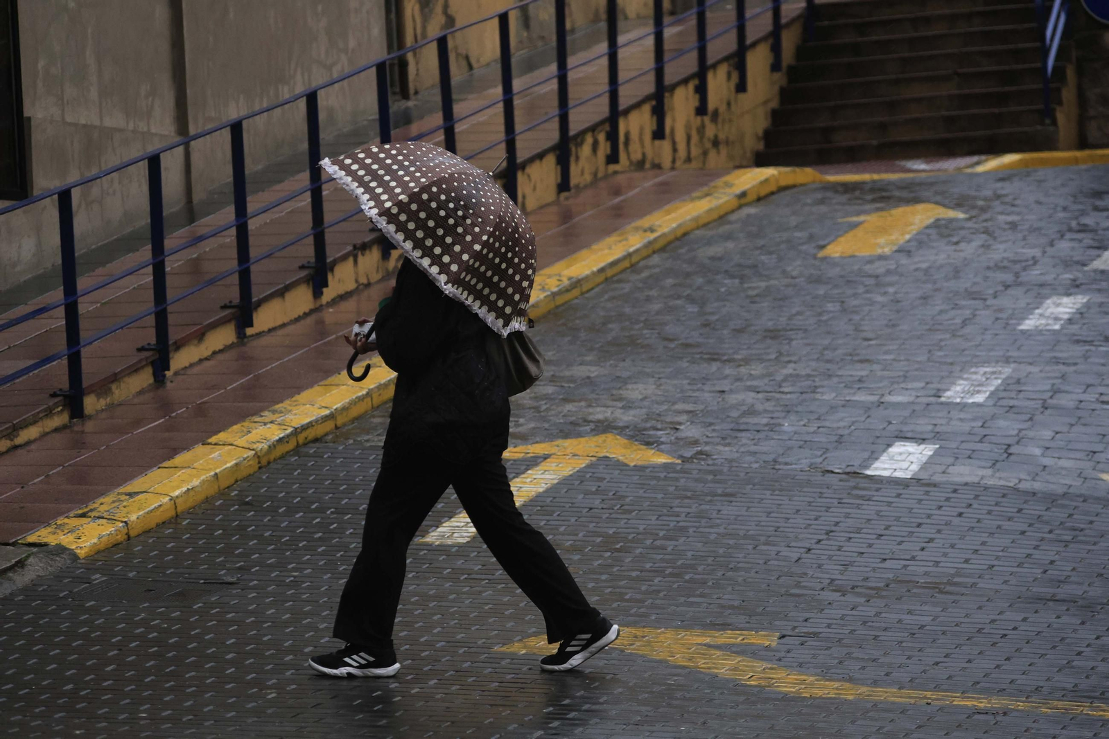Las fotos de los efectos de la borrasca Emilia en el Campo de Gibraltar
