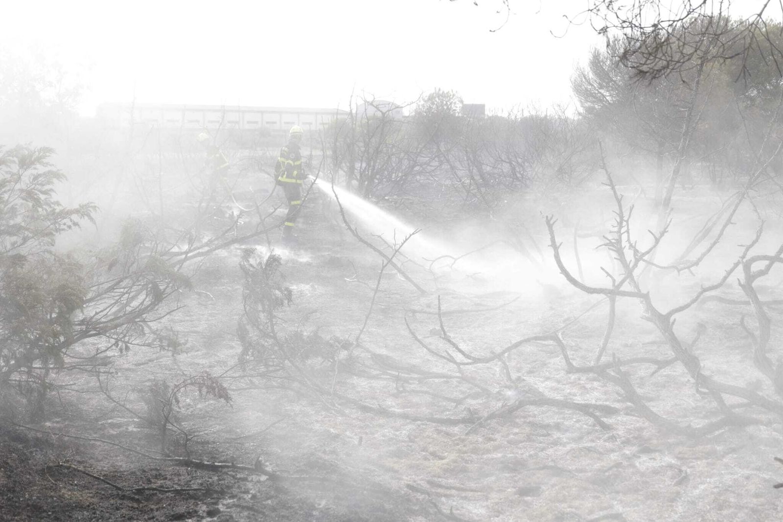 Imágenes del incendio en el Tiro Pichón