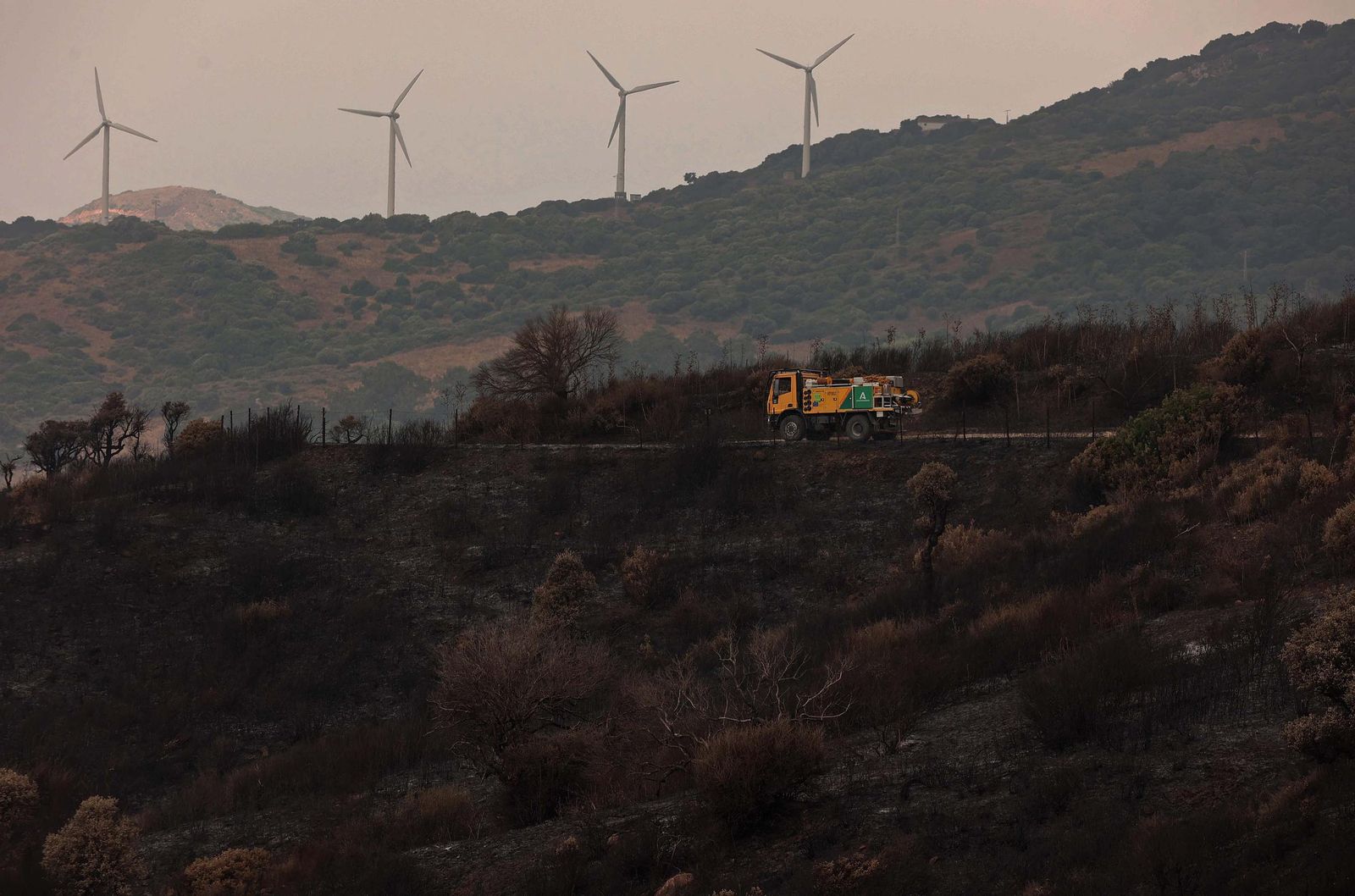 Fotos de los efectos del incendio en el Puerto del Laurel en Algeciras