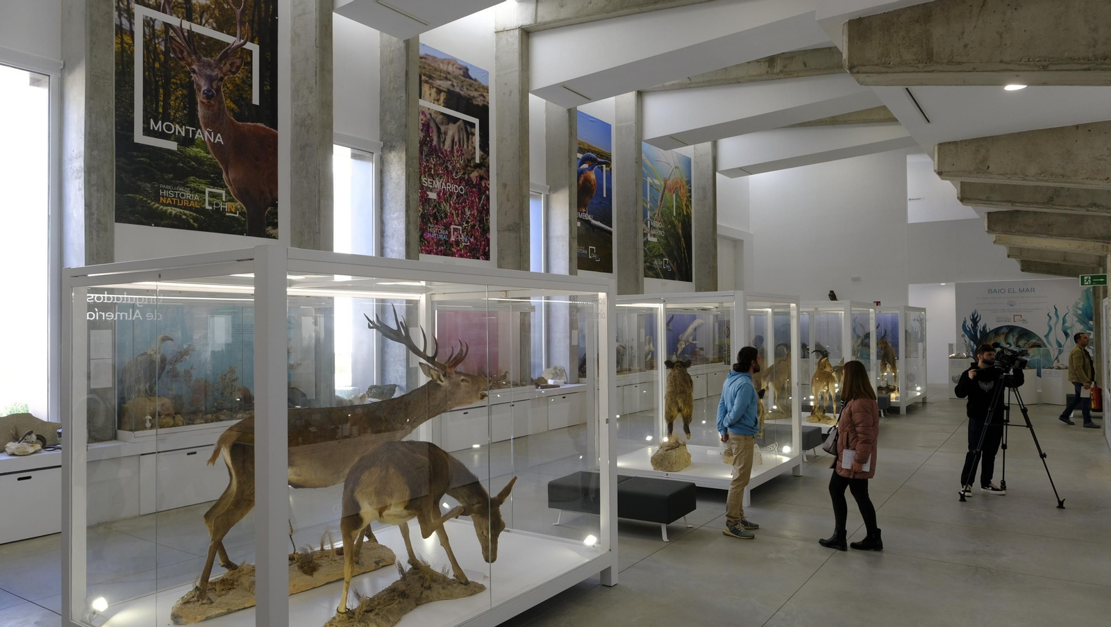 Descubre en estas fotos las maravillas que esconde el Pabellón de Historia Natural de la UAL