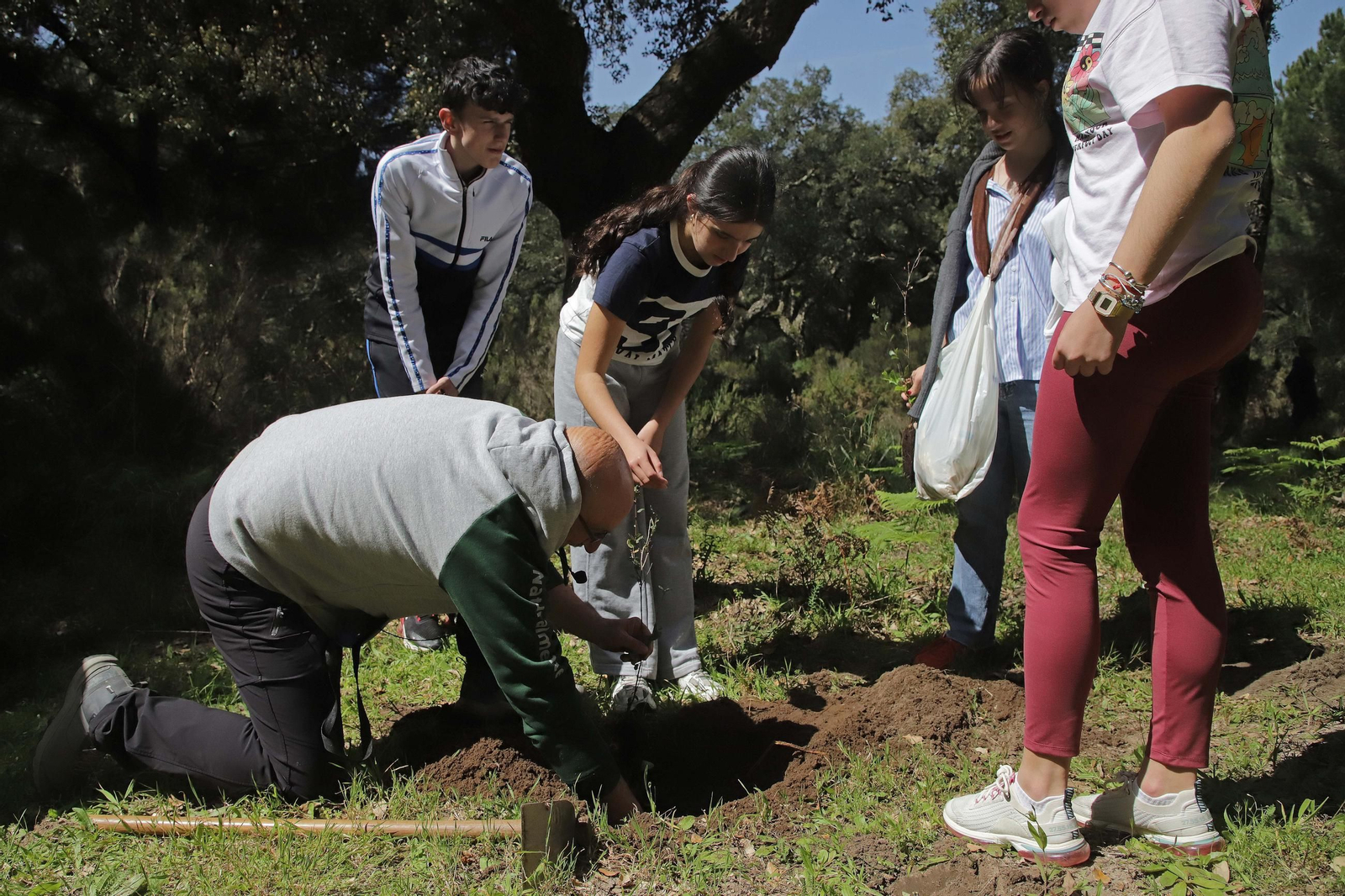 Fotografías de la plantación del programa 'Reverdece' de Acerinox Fotografías de la plantación del programa 'Reverdece' de Acerinox