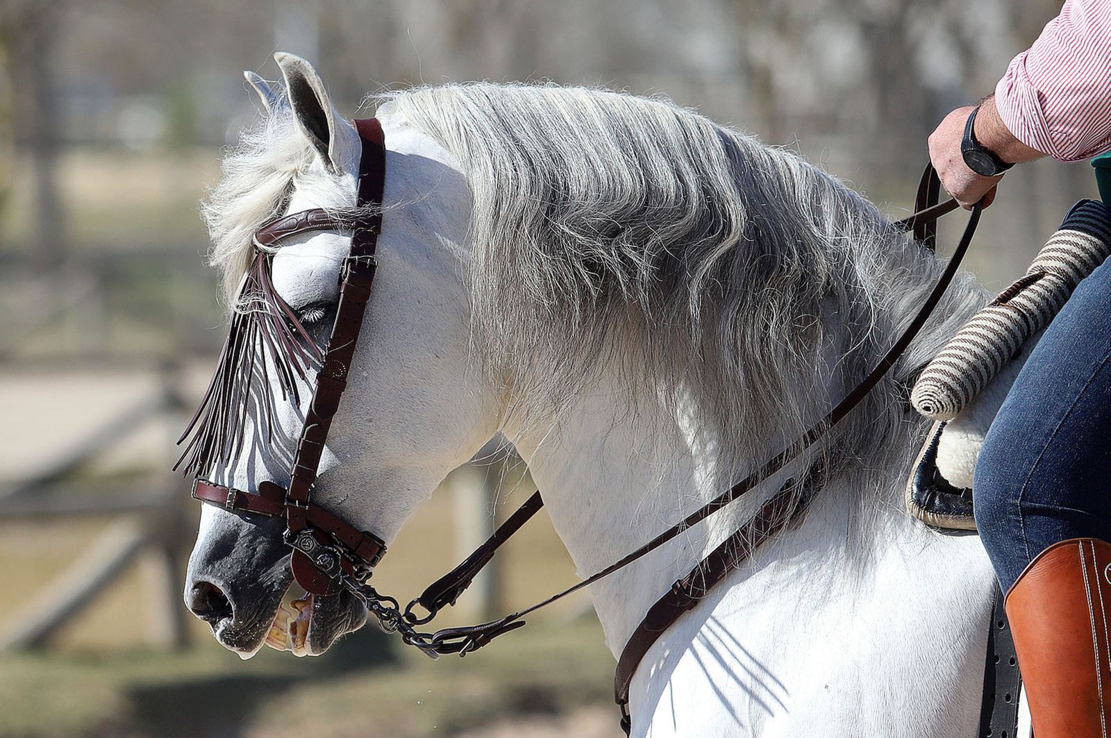 Imágenes del sábado 4 de febrero en Huelva