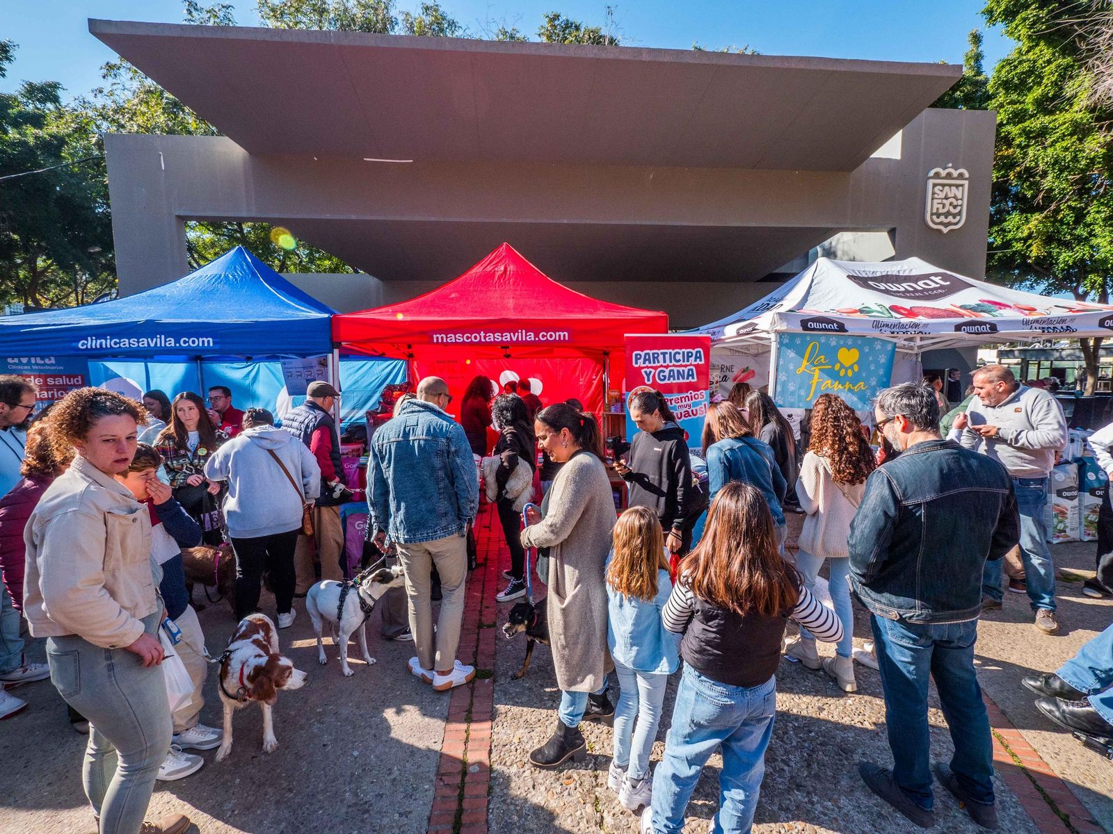 Las imágenes de San Antón 2025 en San Fernando