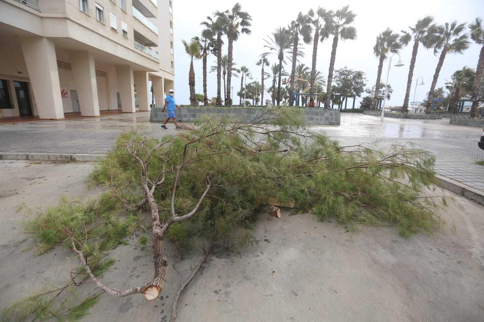 El temporal de lluvia y viento en Málaga