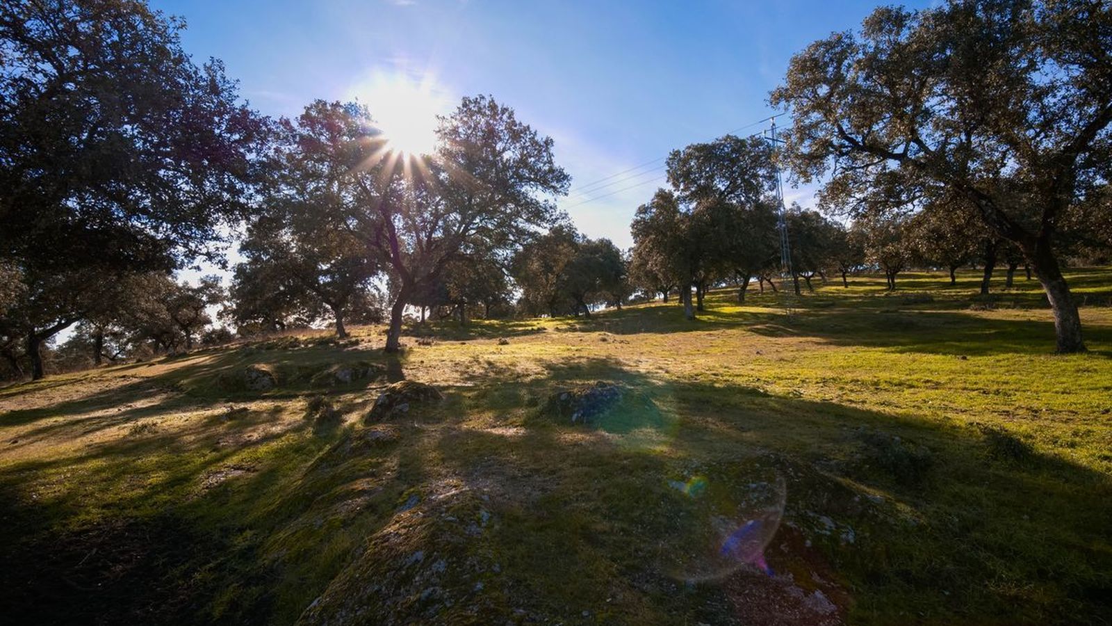 Parque Natural Sierra de Cardeña -Montoro
